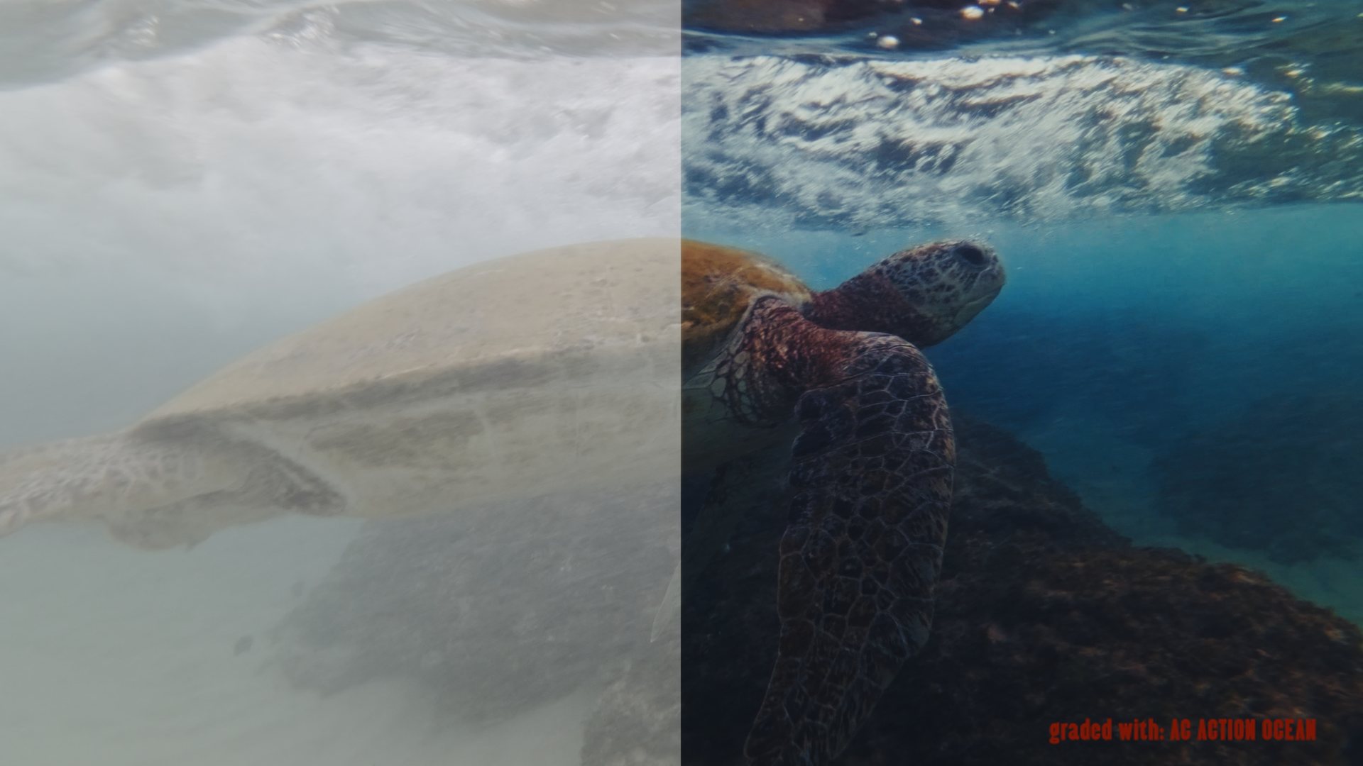 AC ACTION & DRONE LUTs - sample 3