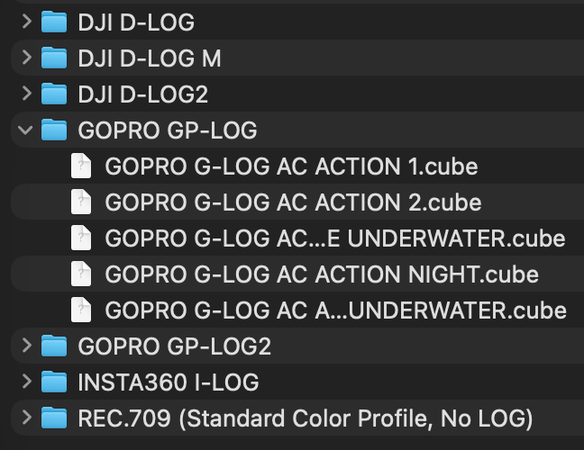 AC ACTION & DRONE LUTs - folder contents