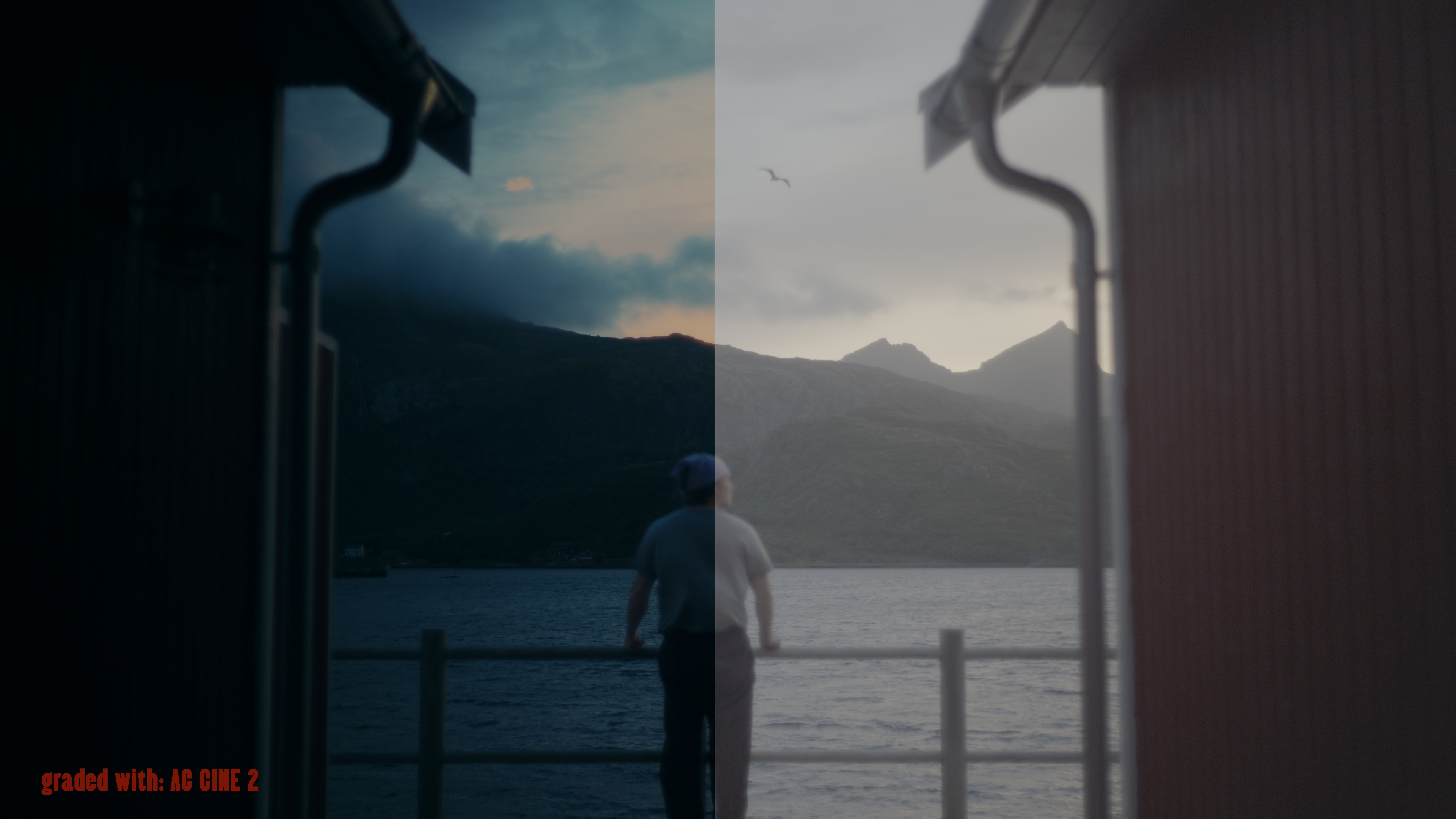 AC CINE LOOKS before and after - frame 19